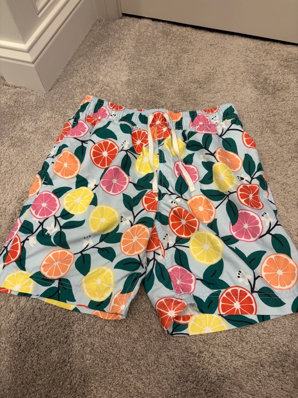 Hanna Andersson Men's Citrus Print Swim Shorts - Multicolor
